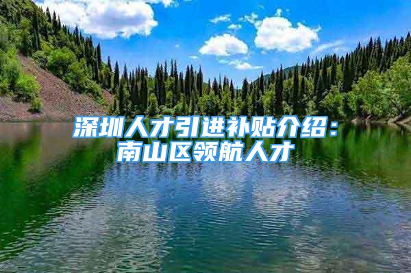 深圳人才引進補貼介紹：南山區(qū)領(lǐng)航人才