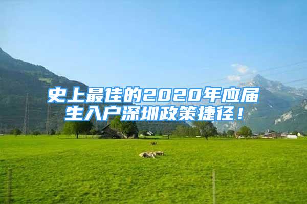 史上最佳的2020年應屆生入戶深圳政策捷徑！