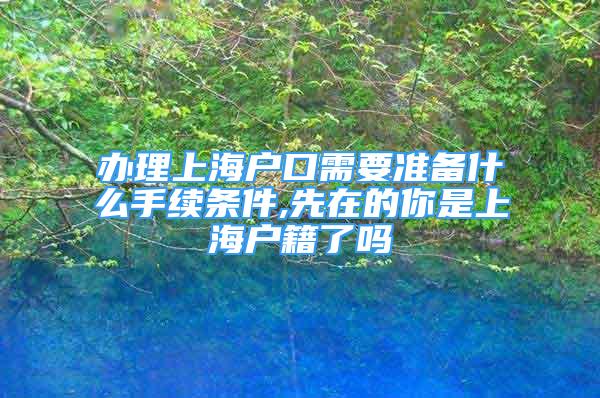 辦理上海戶口需要準備什么手續(xù)條件,先在的你是上海戶籍了嗎