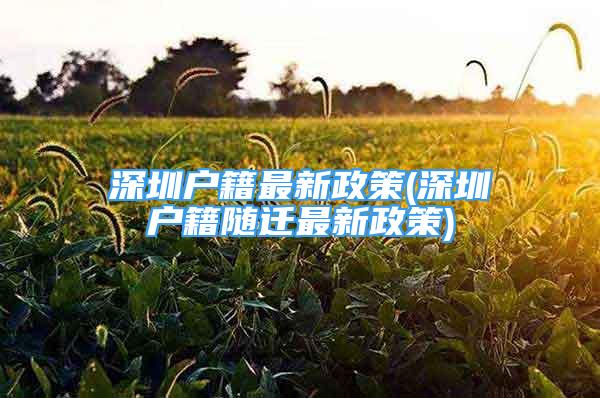 深圳戶籍最新政策(深圳戶籍隨遷最新政策)