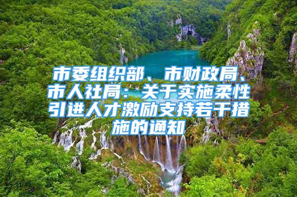 市委組織部、市財政局、市人社局：關(guān)于實施柔性引進人才激勵支持若干措施的通知