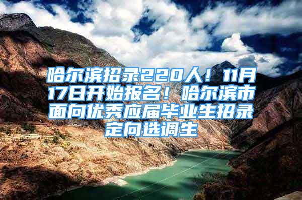 哈爾濱招錄220人！11月17日開(kāi)始報(bào)名！哈爾濱市面向優(yōu)秀應(yīng)屆畢業(yè)生招錄定向選調(diào)生