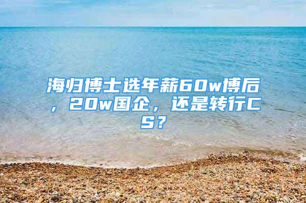 海歸博士選年薪60w博后，20w國企，還是轉(zhuǎn)行CS？