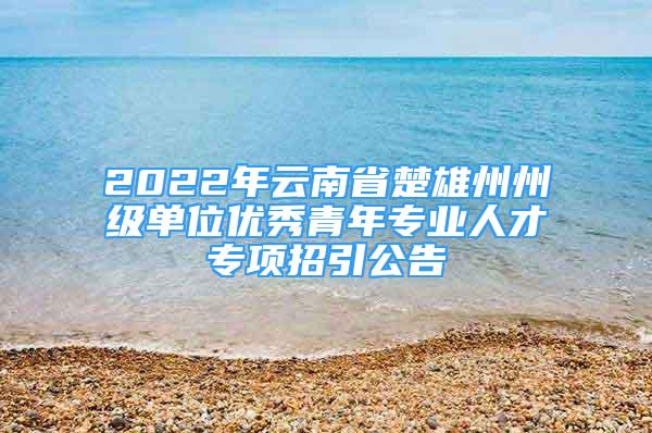 2022年云南省楚雄州州級單位優(yōu)秀青年專業(yè)人才專項招引公告