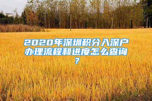 2020年深圳積分入深戶辦理流程和進(jìn)度怎么查詢？