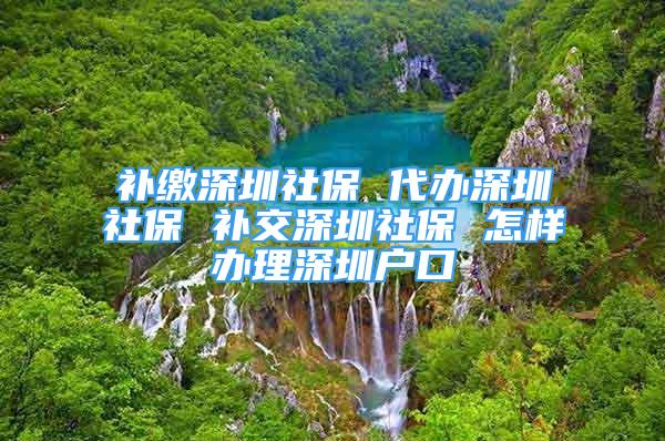 補繳深圳社保 代辦深圳社保 補交深圳社保 怎樣辦理深圳戶口