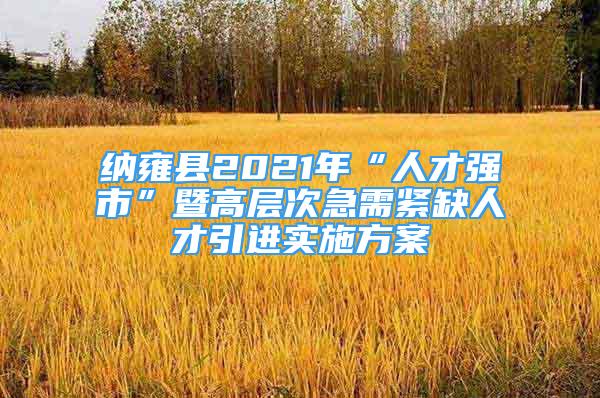 納雍縣2021年“人才強市”暨高層次急需緊缺人才引進(jìn)實施方案