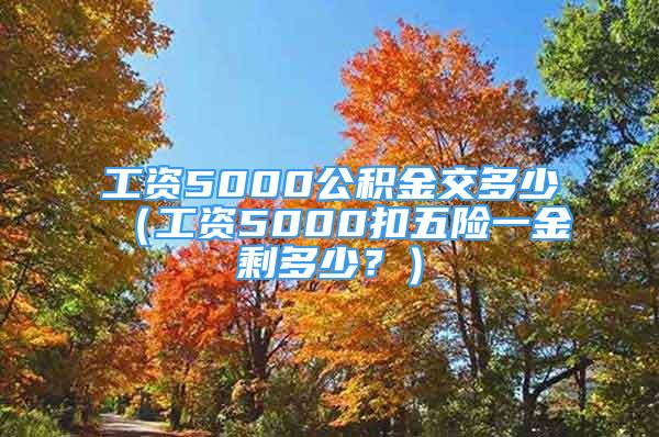 工資5000公積金交多少（工資5000扣五險一金剩多少？）