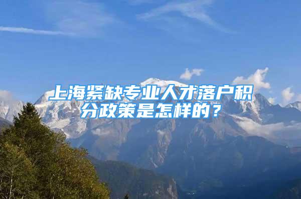 上海緊缺專業(yè)人才落戶積分政策是怎樣的？