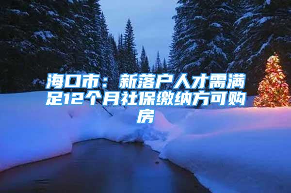 海口市：新落戶人才需滿足12個月社保繳納方可購房