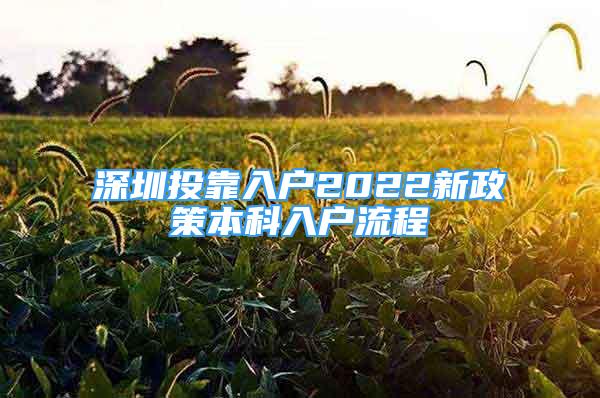 深圳投靠入戶2022新政策本科入戶流程