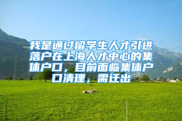 我是通過留學生人才引進落戶在上海人才中心的集體戶口，目前面臨集體戶口清理，需遷出