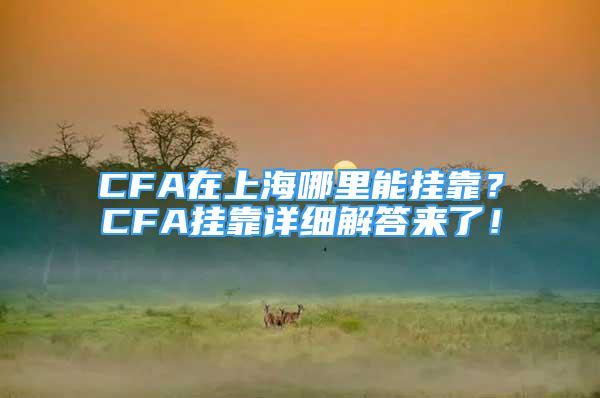 CFA在上海哪里能掛靠？CFA掛靠詳細(xì)解答來了！