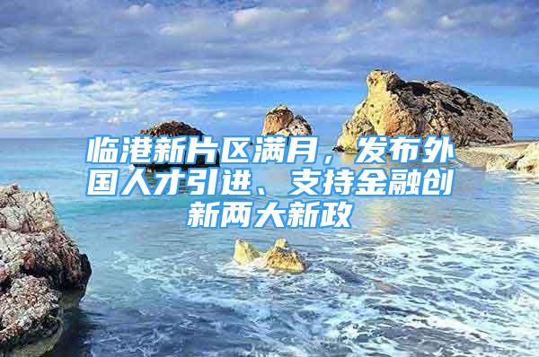 臨港新片區(qū)滿(mǎn)月，發(fā)布外國(guó)人才引進(jìn)、支持金融創(chuàng)新兩大新政