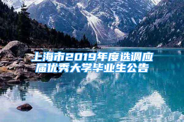 上海市2019年度選調(diào)應(yīng)屆優(yōu)秀大學畢業(yè)生公告