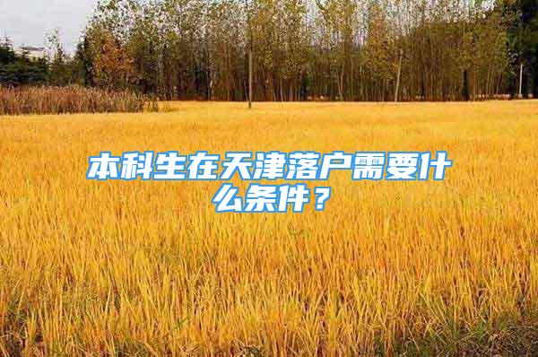 本科生在天津落戶需要什么條件？