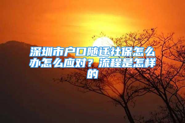 深圳市戶口隨遷社保怎么辦怎么應(yīng)對？流程是怎樣的