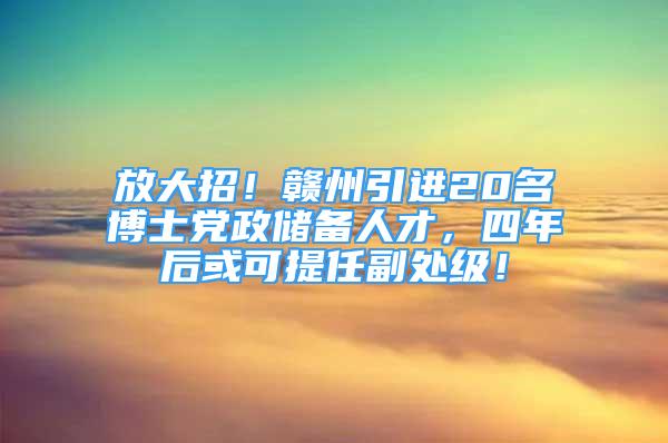 放大招！贛州引進(jìn)20名博士黨政儲備人才，四年后或可提任副處級！