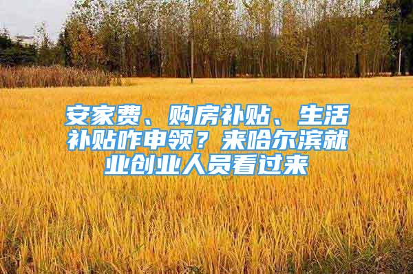 安家費、購房補貼、生活補貼咋申領(lǐng)？來哈爾濱就業(yè)創(chuàng)業(yè)人員看過來