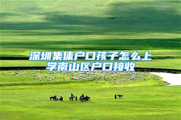 深圳集體戶口孩子怎么上學(xué)南山區(qū)戶口接收