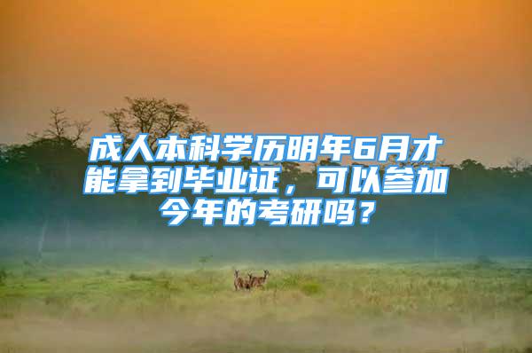 成人本科學(xué)歷明年6月才能拿到畢業(yè)證，可以參加今年的考研嗎？