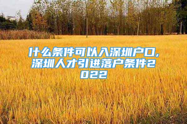 什么條件可以入深圳戶口,深圳人才引進(jìn)落戶條件2022