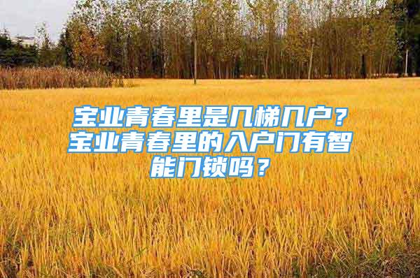 寶業(yè)青春里是幾梯幾戶？寶業(yè)青春里的入戶門有智能門鎖嗎？