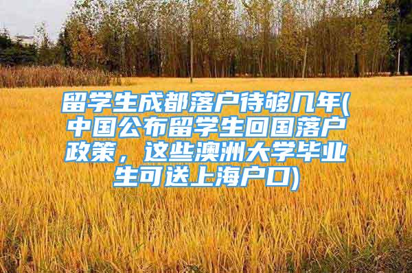 留學(xué)生成都落戶待夠幾年(中國公布留學(xué)生回國落戶政策，這些澳洲大學(xué)畢業(yè)生可送上海戶口)