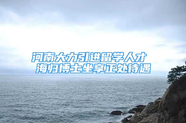 河南大力引進留學(xué)人才 海歸博士坐享正處待遇