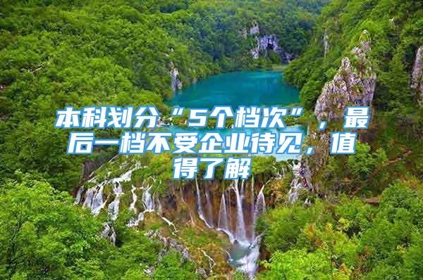 本科劃分“5個檔次”，最后一檔不受企業(yè)待見，值得了解