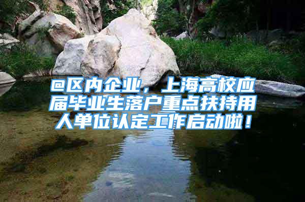 @區(qū)內(nèi)企業(yè)，上海高校應(yīng)屆畢業(yè)生落戶重點(diǎn)扶持用人單位認(rèn)定工作啟動(dòng)啦！