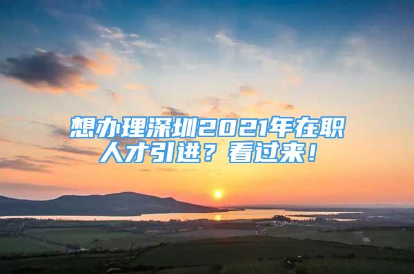 想辦理深圳2021年在職人才引進(jìn)？看過來！