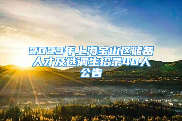 2023年上海寶山區(qū)儲(chǔ)備人才及選調(diào)生招錄40人公告