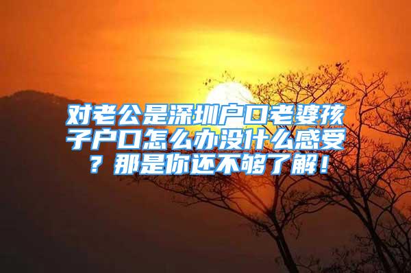 對老公是深圳戶口老婆孩子戶口怎么辦沒什么感受？那是你還不夠了解！