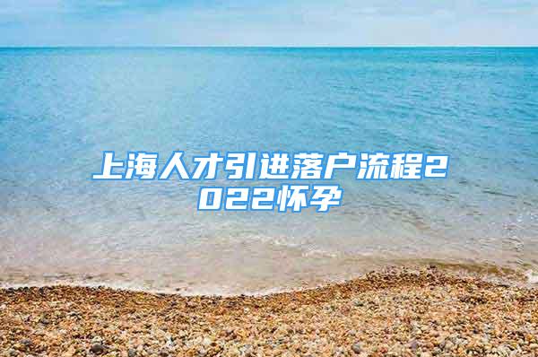 上海人才引進(jìn)落戶流程2022懷孕