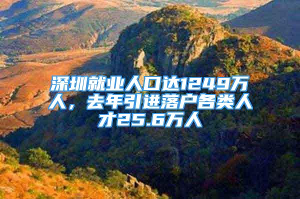 深圳就業(yè)人口達(dá)1249萬人，去年引進(jìn)落戶各類人才25.6萬人