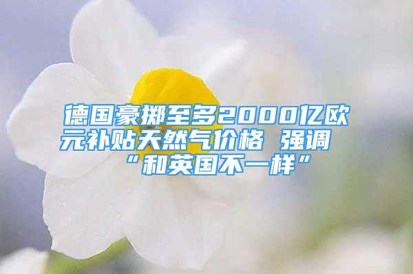 德國豪擲至多2000億歐元補(bǔ)貼天然氣價(jià)格 強(qiáng)調(diào)“和英國不一樣”