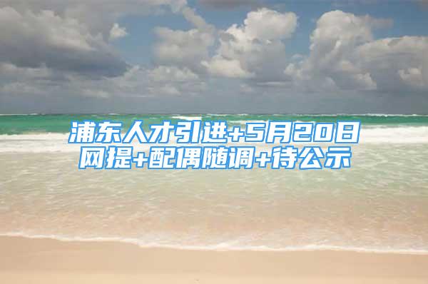 浦東人才引進(jìn)+5月20日網(wǎng)提+配偶隨調(diào)+待公示