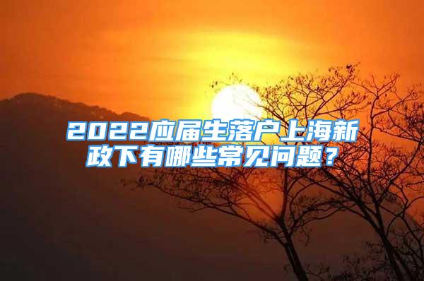 2022應(yīng)屆生落戶上海新政下有哪些常見問題？