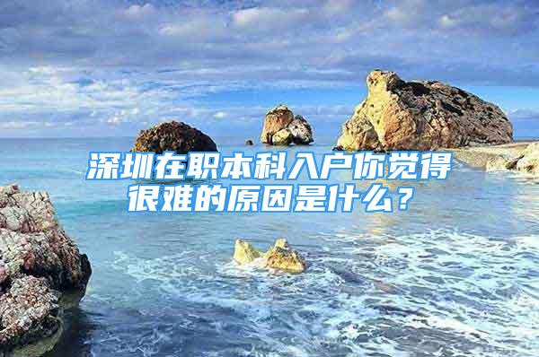 深圳在職本科入戶你覺得很難的原因是什么？