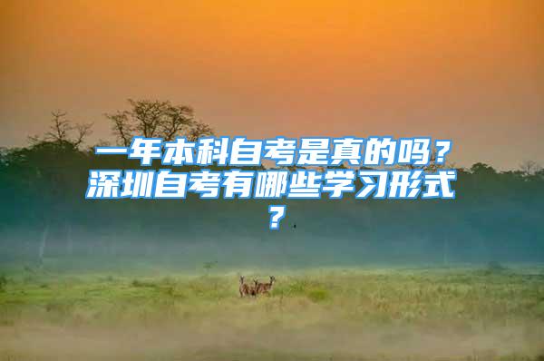 一年本科自考是真的嗎？深圳自考有哪些學(xué)習(xí)形式？