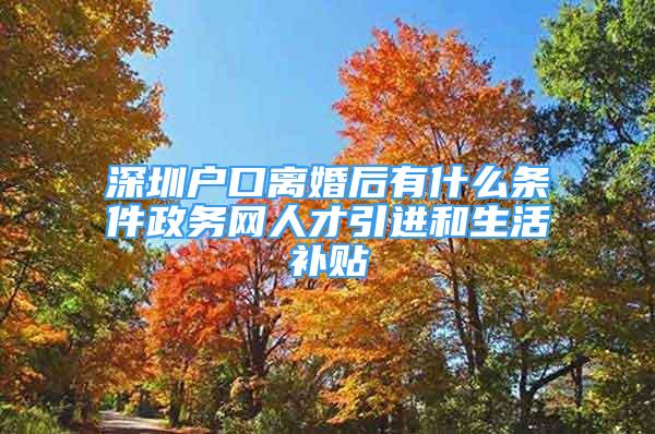 深圳戶口離婚后有什么條件政務(wù)網(wǎng)人才引進和生活補貼