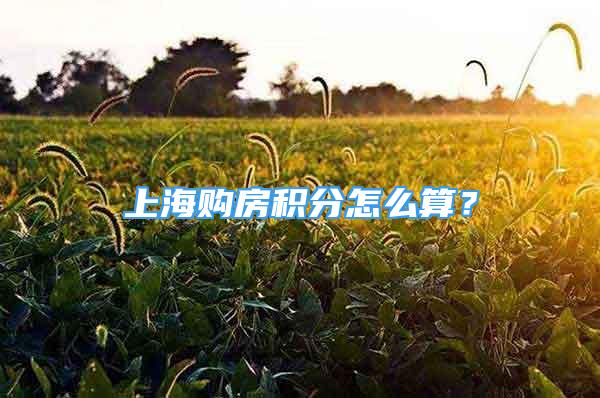 上海購(gòu)房積分怎么算？