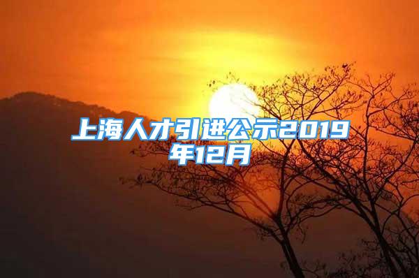 上海人才引進公示2019年12月