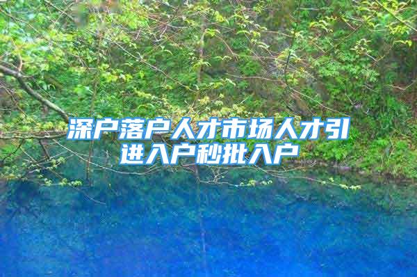 深戶落戶人才市場人才引進入戶秒批入戶