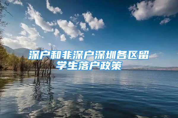 深戶和非深戶深圳各區(qū)留學(xué)生落戶政策