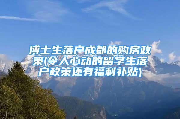 博士生落戶成都的購房政策(令人心動的留學(xué)生落戶政策還有福利補(bǔ)貼)