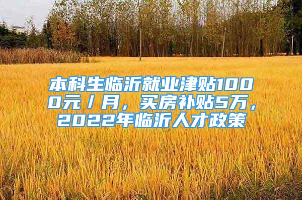 本科生臨沂就業(yè)津貼1000元／月，買房補(bǔ)貼5萬，2022年臨沂人才政策