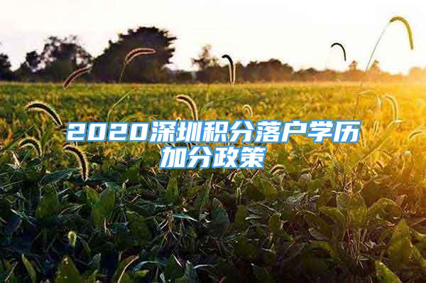 2020深圳積分落戶學歷加分政策