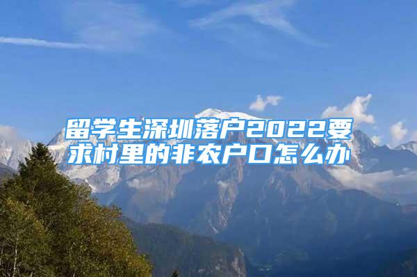 留學生深圳落戶2022要求村里的非農(nóng)戶口怎么辦